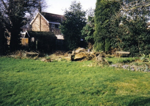 The Veg Plot in Spring 1996 - PartI