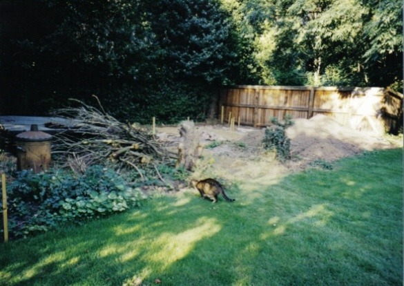 Veg Plot in Autumn 1999