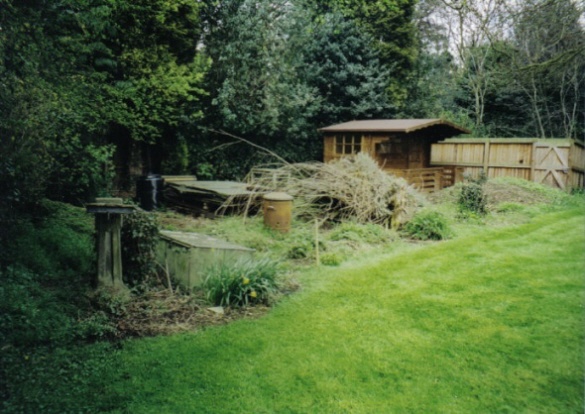 Veg Plot in Spring 2001