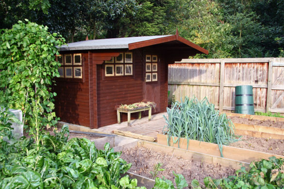 Potting Shed