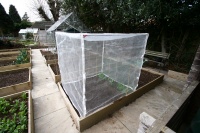 Homemade Netting Cage